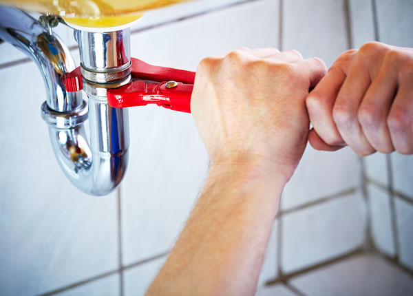 About Sparta Plumbers